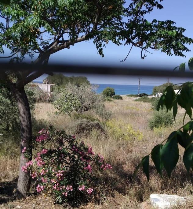 Sun And Sea 1 Διαμέρισμα Elíka Εξωτερικό φωτογραφία